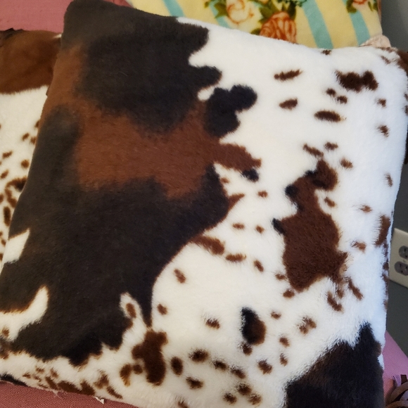 Throw pillows. - Picture 1 of 3